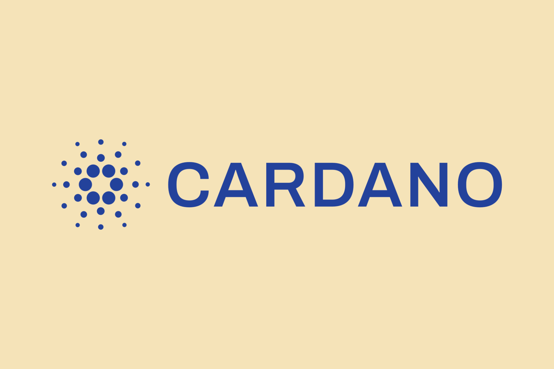 Cardano – T-Shirt – Bild 3