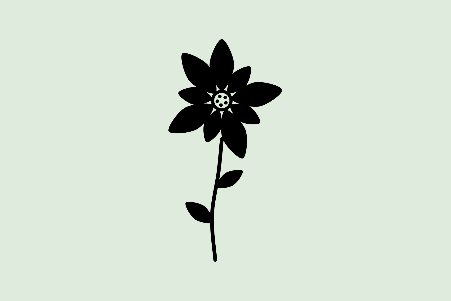 Motiv «Edelweiss» – die Druckvorlage im Detail