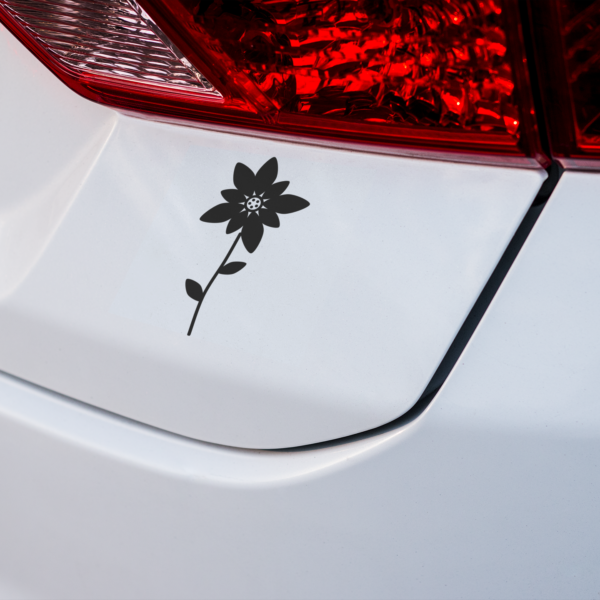 Auto-Sticker «Edelweiss» in schwarzer Folie auf der Heckscheibe